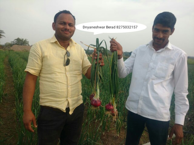 Green Planet Bio Products Ahmednagar Mobile  shop Ahmednagar